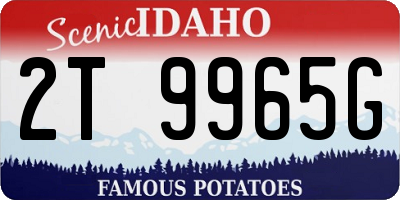 ID license plate 2T9965G