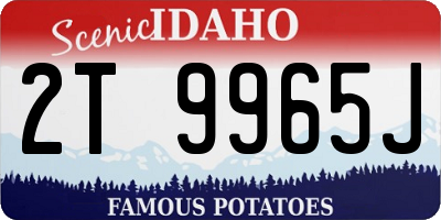 ID license plate 2T9965J
