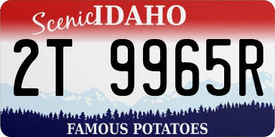 ID license plate 2T9965R
