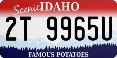 ID license plate 2T9965U
