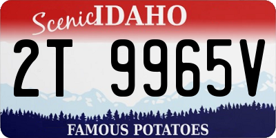 ID license plate 2T9965V