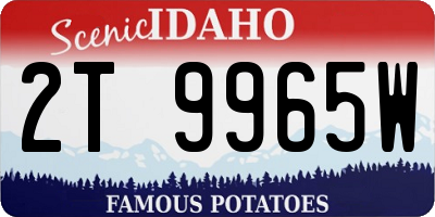 ID license plate 2T9965W