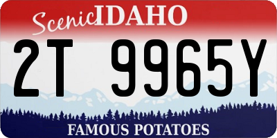 ID license plate 2T9965Y