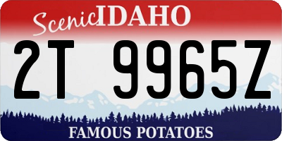 ID license plate 2T9965Z