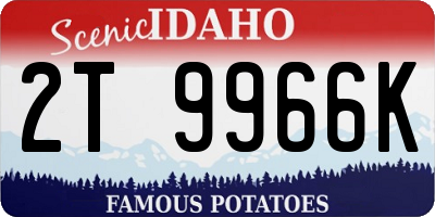 ID license plate 2T9966K