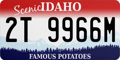 ID license plate 2T9966M
