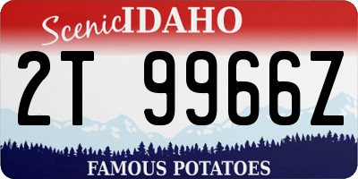ID license plate 2T9966Z