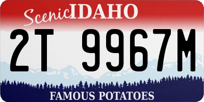 ID license plate 2T9967M