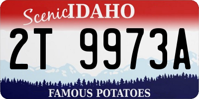 ID license plate 2T9973A