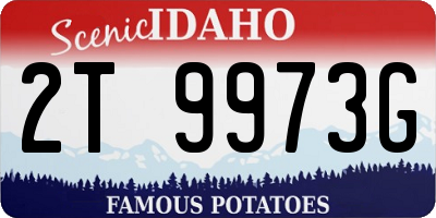 ID license plate 2T9973G