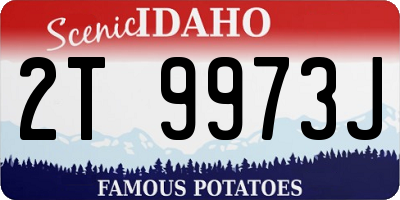 ID license plate 2T9973J