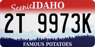 ID license plate 2T9973K