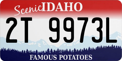 ID license plate 2T9973L