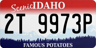 ID license plate 2T9973P
