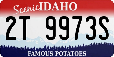 ID license plate 2T9973S