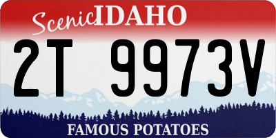 ID license plate 2T9973V