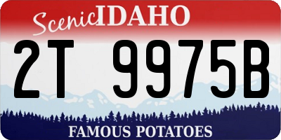 ID license plate 2T9975B