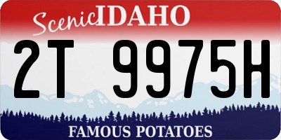 ID license plate 2T9975H