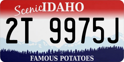 ID license plate 2T9975J