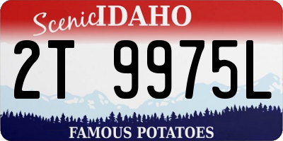 ID license plate 2T9975L