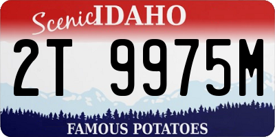 ID license plate 2T9975M