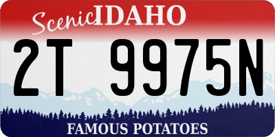 ID license plate 2T9975N