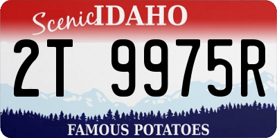 ID license plate 2T9975R