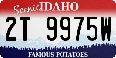 ID license plate 2T9975W