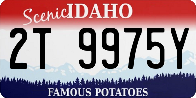 ID license plate 2T9975Y