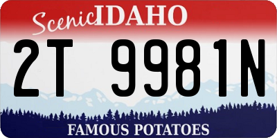 ID license plate 2T9981N