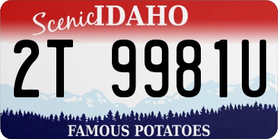 ID license plate 2T9981U