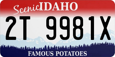 ID license plate 2T9981X