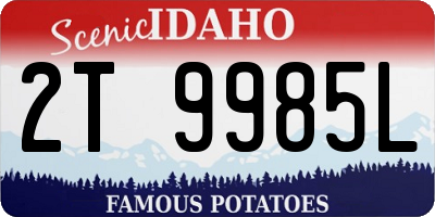 ID license plate 2T9985L