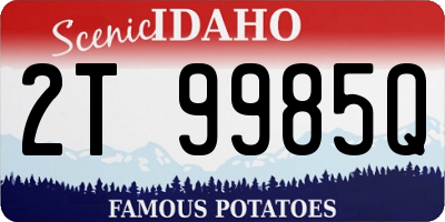 ID license plate 2T9985Q