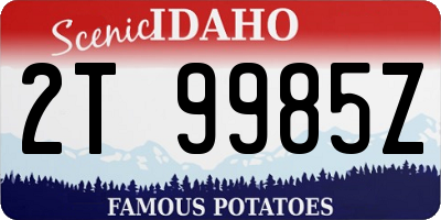 ID license plate 2T9985Z