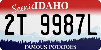 ID license plate 2T9987L