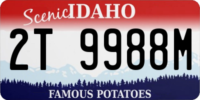 ID license plate 2T9988M