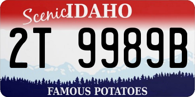 ID license plate 2T9989B