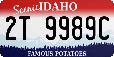 ID license plate 2T9989C