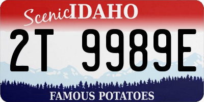 ID license plate 2T9989E