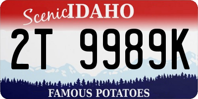 ID license plate 2T9989K