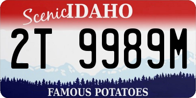 ID license plate 2T9989M