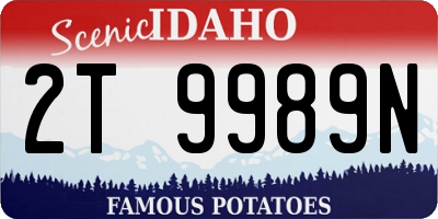 ID license plate 2T9989N