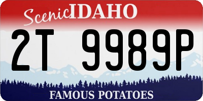 ID license plate 2T9989P