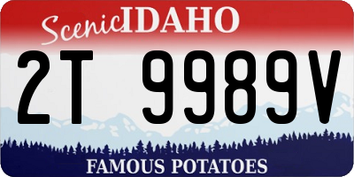 ID license plate 2T9989V