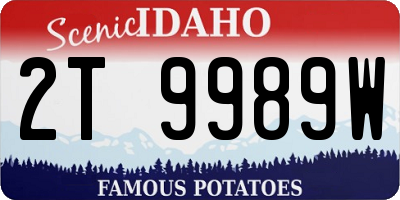 ID license plate 2T9989W