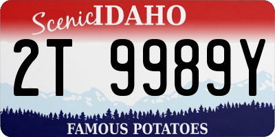 ID license plate 2T9989Y