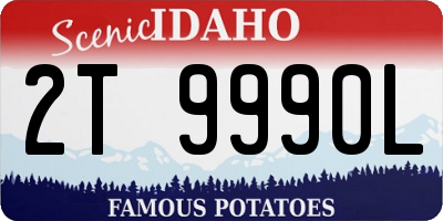 ID license plate 2T9990L