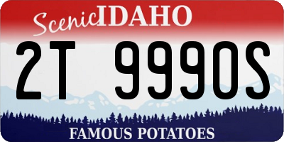 ID license plate 2T9990S