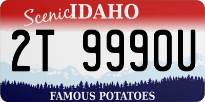 ID license plate 2T9990U